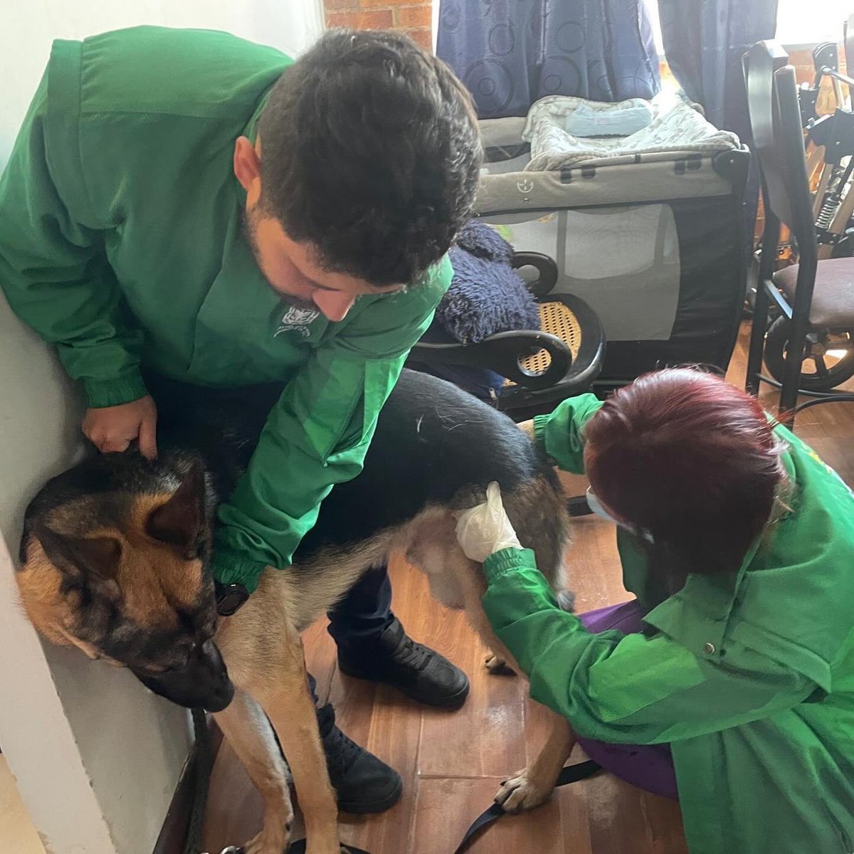 AnimalesBOG's tweet photo. Nuestro #EscuadrónAnticrueldad junto a @CarabinerosCol atendió el caso reportado por violencia contra canino en ascensor en la localidad de Fontibón.

La cuidadora indicó que el presunto agresor ya no habita en el predio y que por proceso civil en curso él no volverá al lugar.(1) https://t.co/apNVO1I4Iv