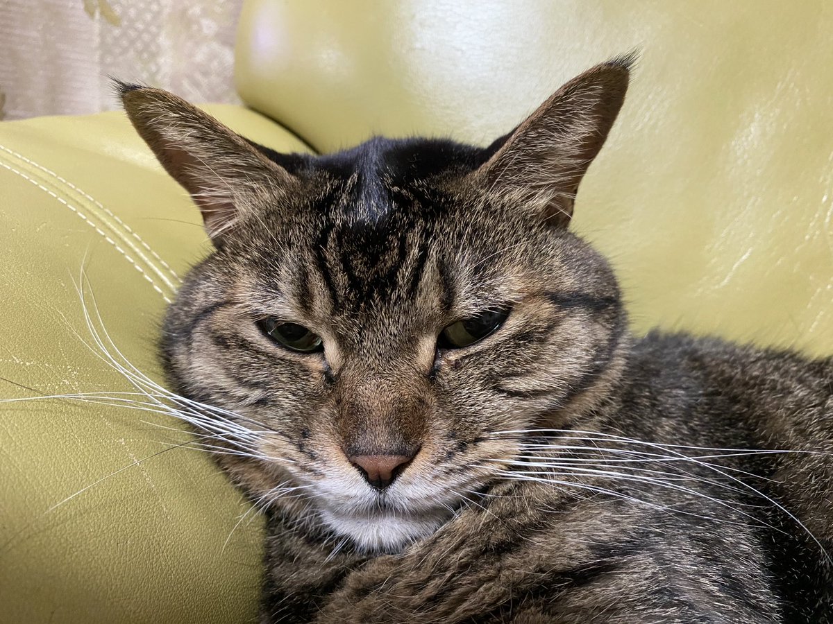 あ、今日涼しい