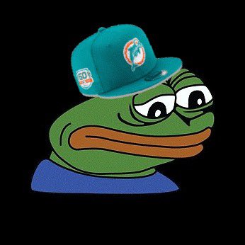 JarredsTweets's tweet photo. @MiamiDolphins @avianca https://t.co/HSiOekk5WQ