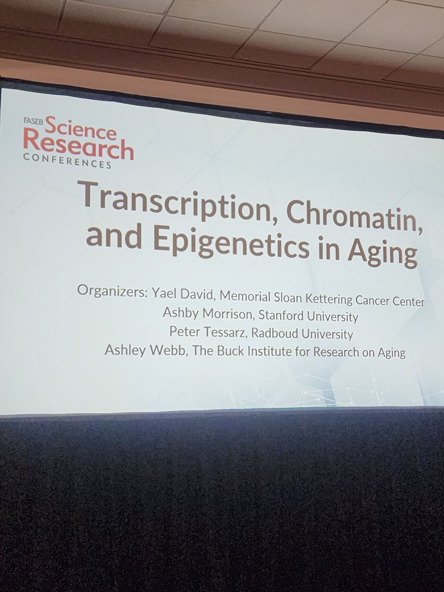 @CEI-FCCC (@ceifccc) on Twitter photo Glad to support the #TCESRC <a href="/FASEBorg/">FASEB</a> #Transcription, #Chromatin, & #Epigenetics in #Aging. Thanks to organizers <a href="/Yael_David__/">Yael David</a> <a href="/Morrison_Lab_SU/">Ashby Morrison</a> @petertessarz <a href="/TheWebbLab/">Webb Lab @ The Buck Institute</a> for providing trainees & assistant professor speaking opportunities & career visibility. Glad to support the #TCESRC <a href="/FASEBorg/">FASEB</a> #Transcription, #Chromatin, & #Epigenetics in #Aging. Thanks to organizers <a href="/Yael_David__/">Yael David</a> <a href="/Morrison_Lab_SU/">Ashby Morrison</a> @petertessarz <a href="/TheWebbLab/">Webb Lab @ The Buck Institute</a> for providing trainees & assistant professor speaking opportunities & career visibility.