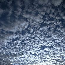 halag586 tweet picture