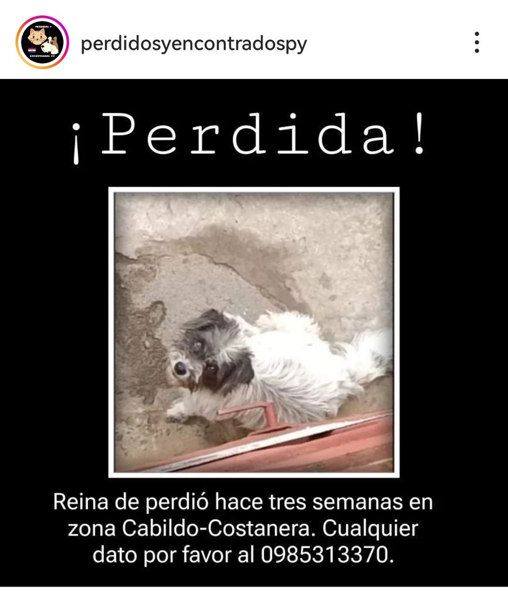 Tana 🦋🇵🇾🧉 tweet media