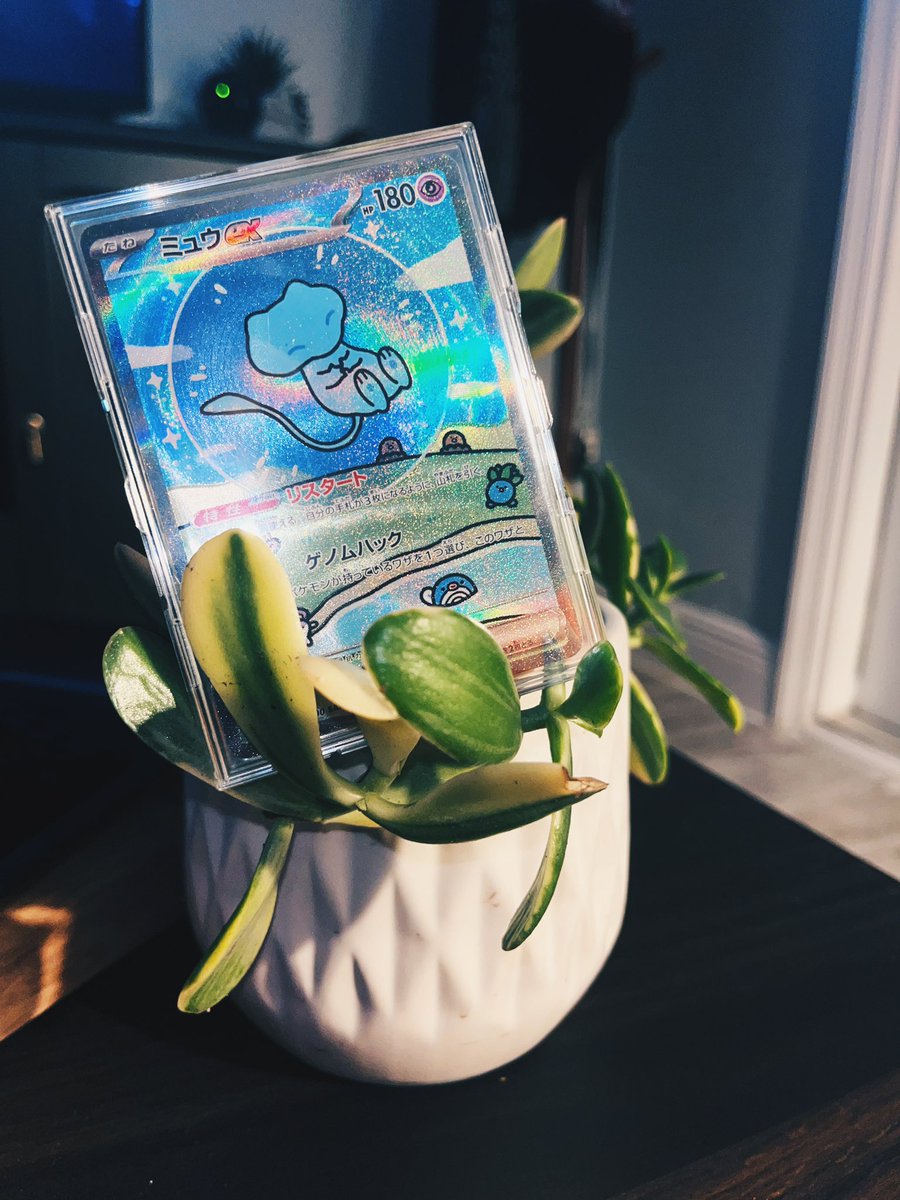 co77ec7's tweet photo. ☦️ 

Mew SAR 347/190.//
SV4A Shiny Treasure.//
Japanese.//

#pokemon #pokémon #shinytreasure #mew https://t.co/p7r82kXnMJ