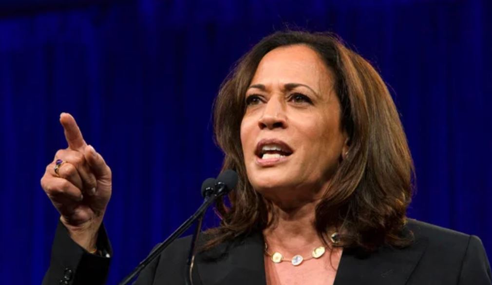 mas_cryptonews's tweet photo. ¿Kamala Harris, mejor que Trump para el precio de Bitcoin ? VanEck cree que sí https://t.co/SgLnWq0pVC https://t.co/ggLlNJBnLd