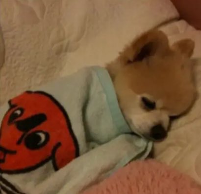 MutaFuka's tweet photo. https://t.co/F70mb3nYu0