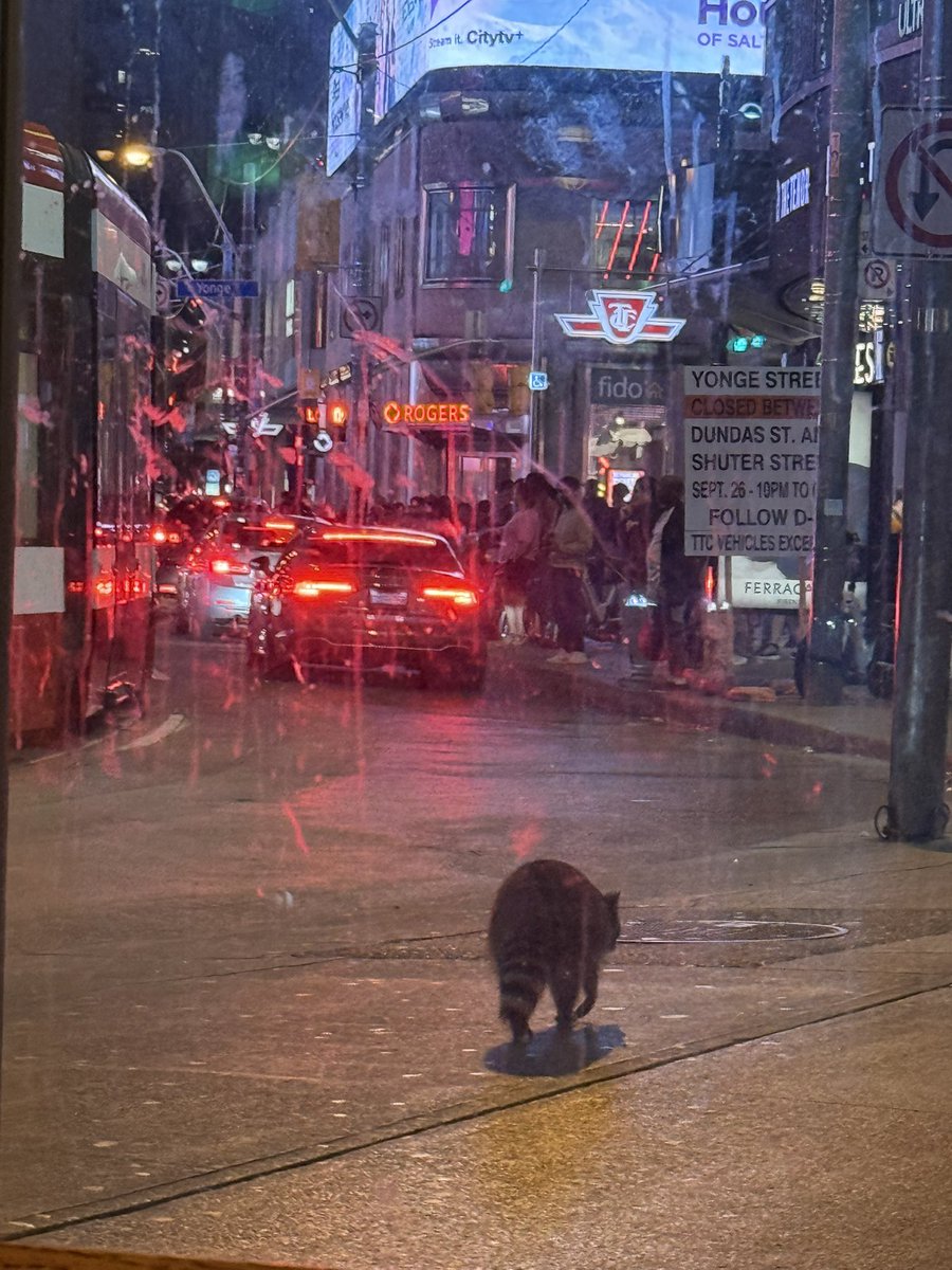 Toronto night life is next level….