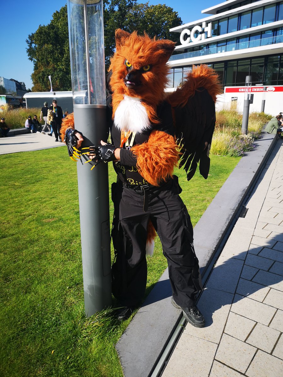 FurryWoxy's tweet photo. Eurofurence may be over but the memories live on!

A big hug to everyone for one of the best conventions so far!

And a special thanks to the following fuffs for their company:
@funkbird76 
@KurosakiSaiz 
Cotton
@ArmyNordic 
@MiloBlackstar 
@Fox3Tippy 
@MZubkie 
@SweetPanda0503 https://t.co/7N1j5TkdJX