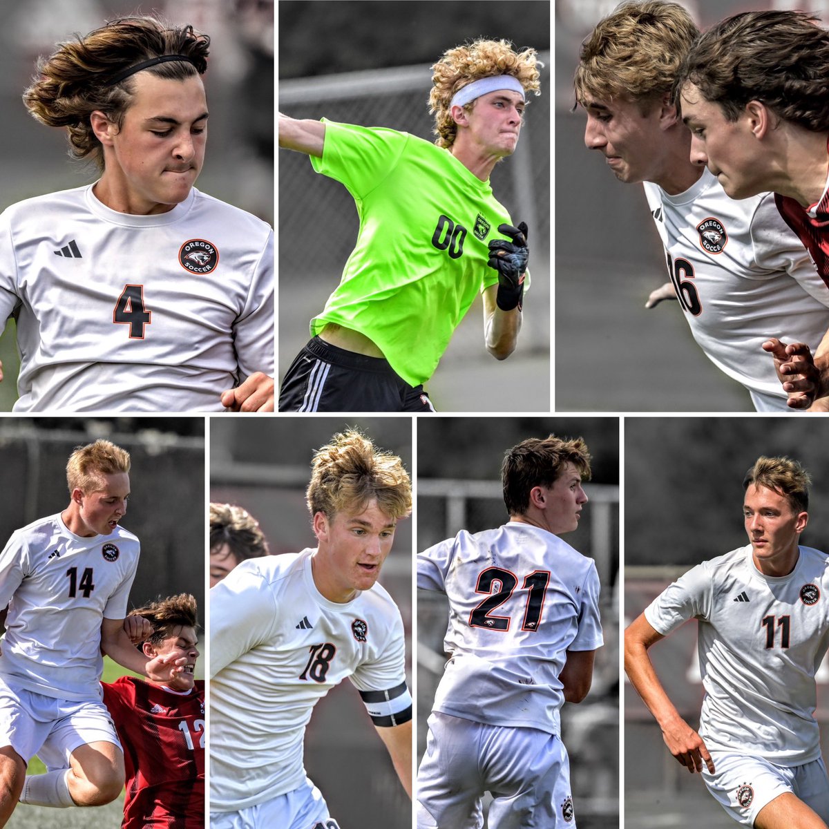 Brian Vasey tweet media