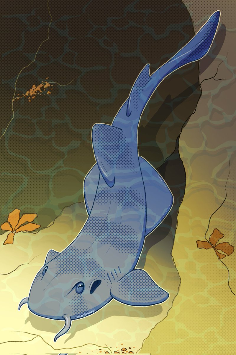 bluejayboju's tweet photo. 5. Character design for another Phkay collab-- Murder Mystery edition
6. ANOTHER coloring page for the DR Critical Dice zine!
7. My bluegrey carpet shark for the 10th (and final) Swim On zine
8. And lastly, spot art for promoting the DR Ouji zine my friends are running :] https://t.co/G7kvqhn4xK