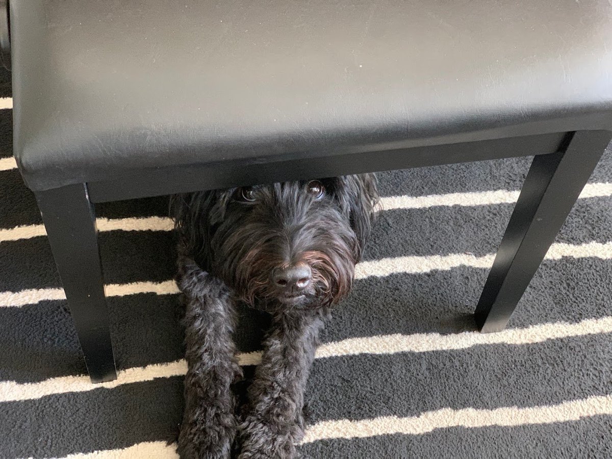 bumping up against the google storage limit and sorting through old pics again