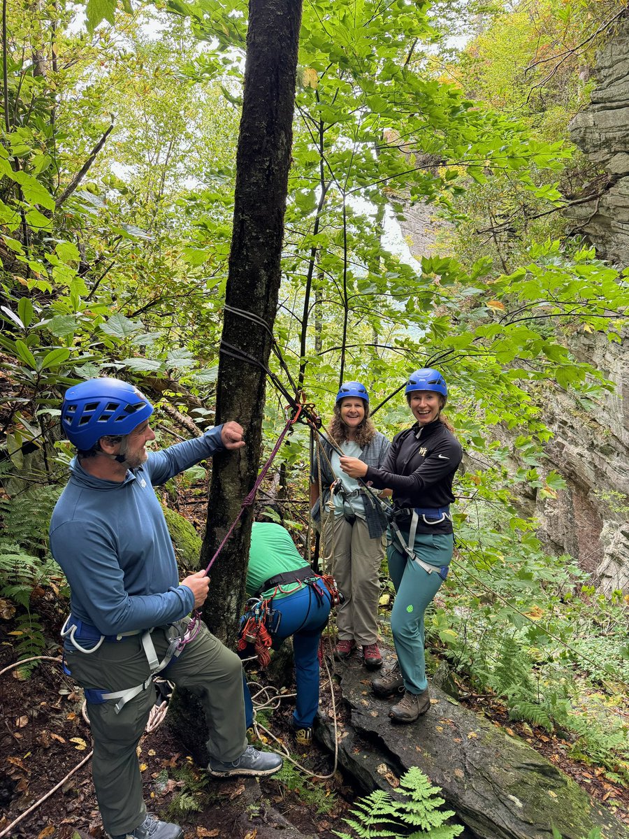 Seth Collings Hawkins tweet media