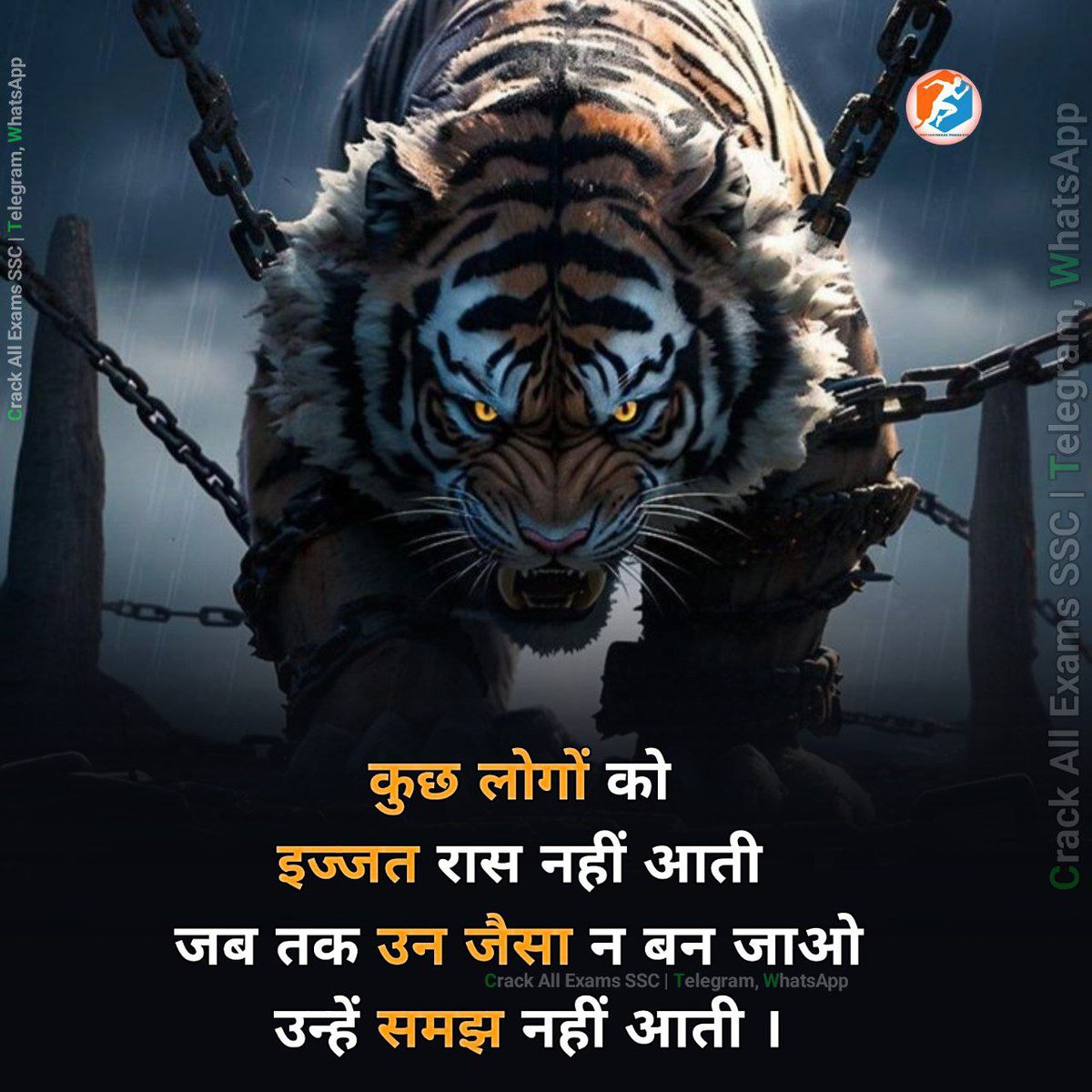 Pastki külotli yubkada it uslubi