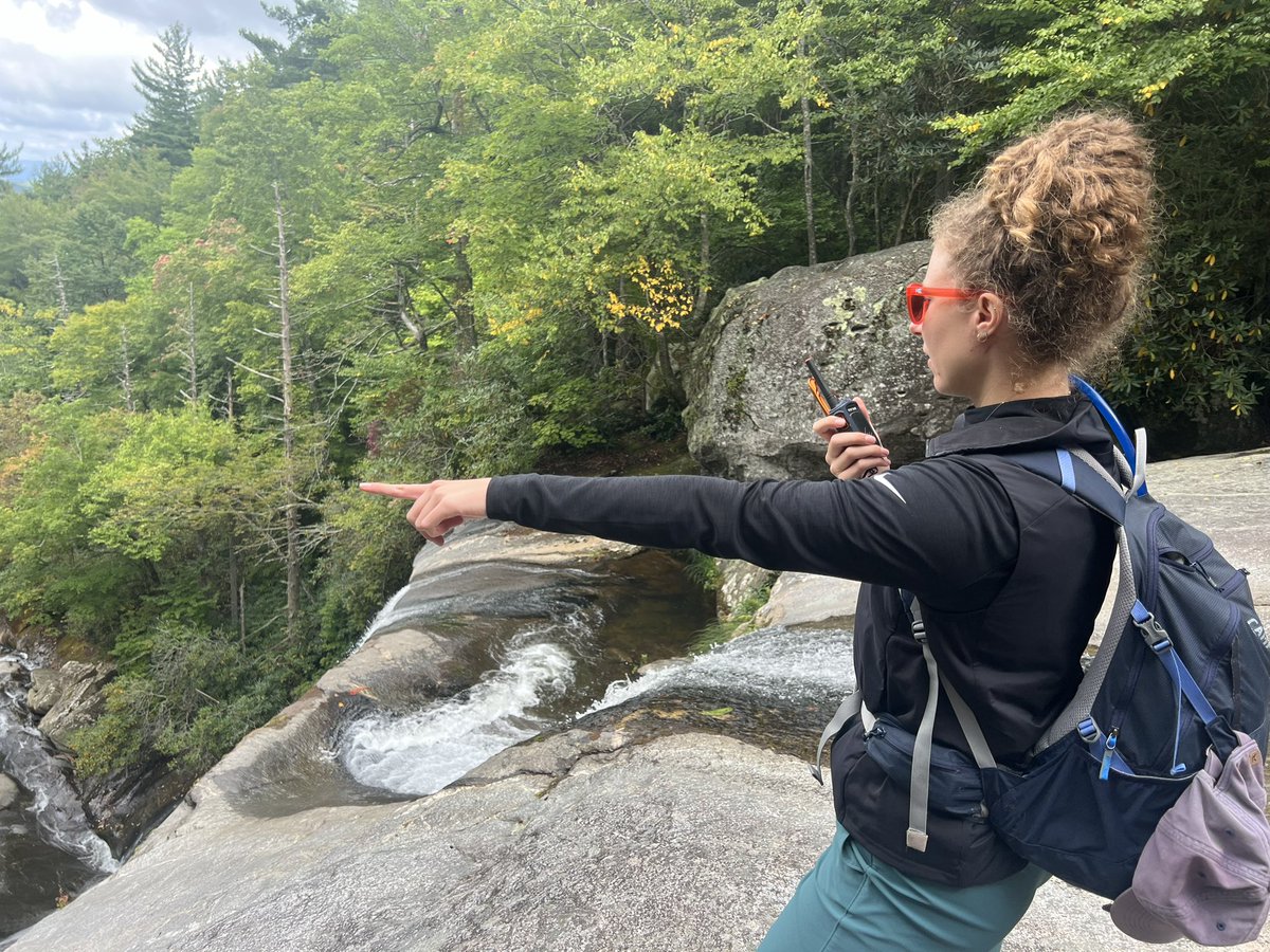 Seth Collings Hawkins tweet media