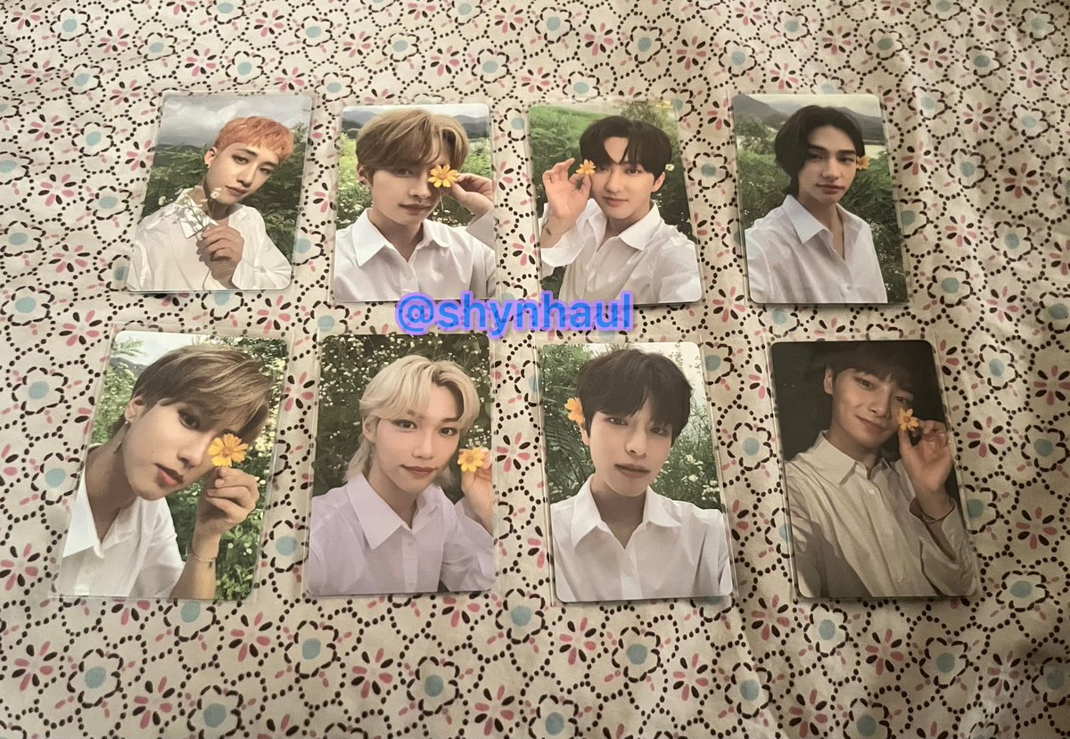 shynhaul's tweet photo. ˋ°•*⁀➷ mail arrived! 💌
「 #shynmails 」
from: @ash_kimse
ot8 came home and ang pretty naman niyan hehe it’s one of my fav sets thank you so much po nadagdagan na mga ot8 sets ko 🥹💗
#luvmiin_mails https://t.co/XVdUQXiiVd