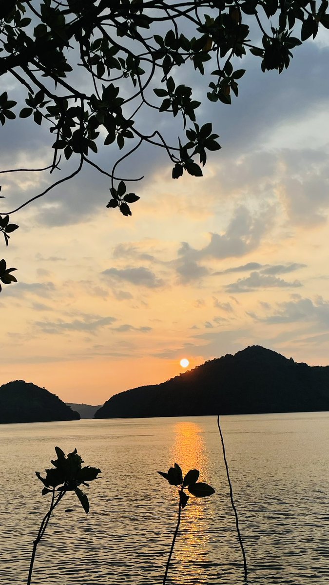 เมื่อได้รับความไว้งางใจ
เขาก็เก็บรักษามันไว้อย่างดี