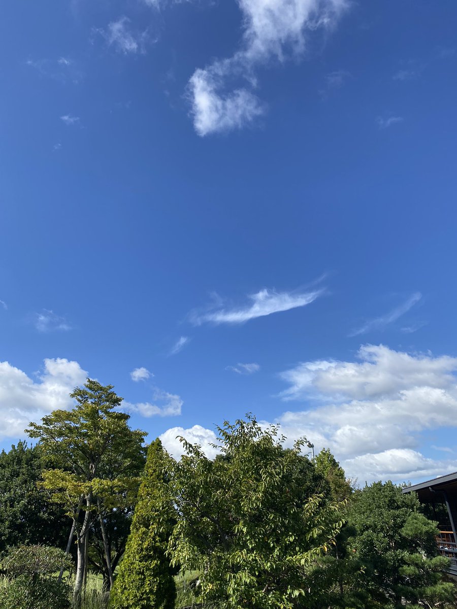 GHS78864360's tweet photo. おはようございます😃 https://t.co/kcsRA2QtLe