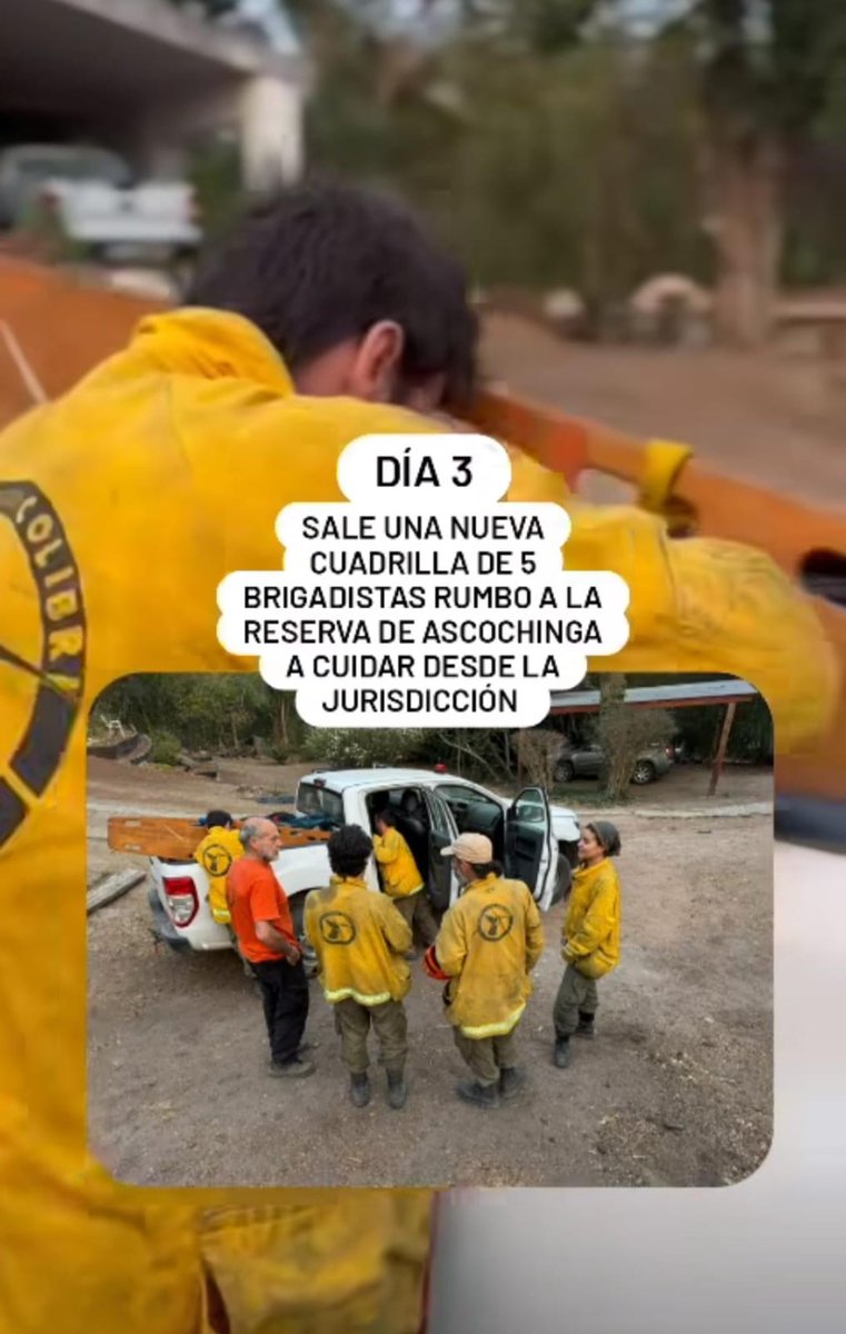 El incendio de Capilla del Monte ya cruzó a Sierras Chicas. Necesitamos colaboración para las brigadas 
Brigada Chavascate
ALIAS: LACHAVASCATE
Brigada Colibrí
ALIAS: BRIGADA.COLIBRI
Brigada Chiviquín
ALIAS: BRIGADAFC.CHIVIQUIN
Brigada Forestal Kamchira
ALIAS: brigada.cbu.kamchira