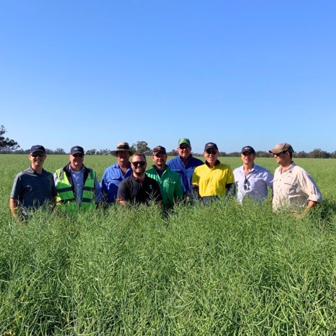 🌱MSM Milling &amp; <a href="/KFCAustralia/">KFC Australia</a> visited #Monola crops in NSW.

#Canola growers Kim &amp; Matt Russ were joined by Agronomist Dave Klaare + members from the MSM Milling management team &amp; the KFC Australia procurement team in this outstanding #Nuseed Monola 422TT crop in #Nevertire.