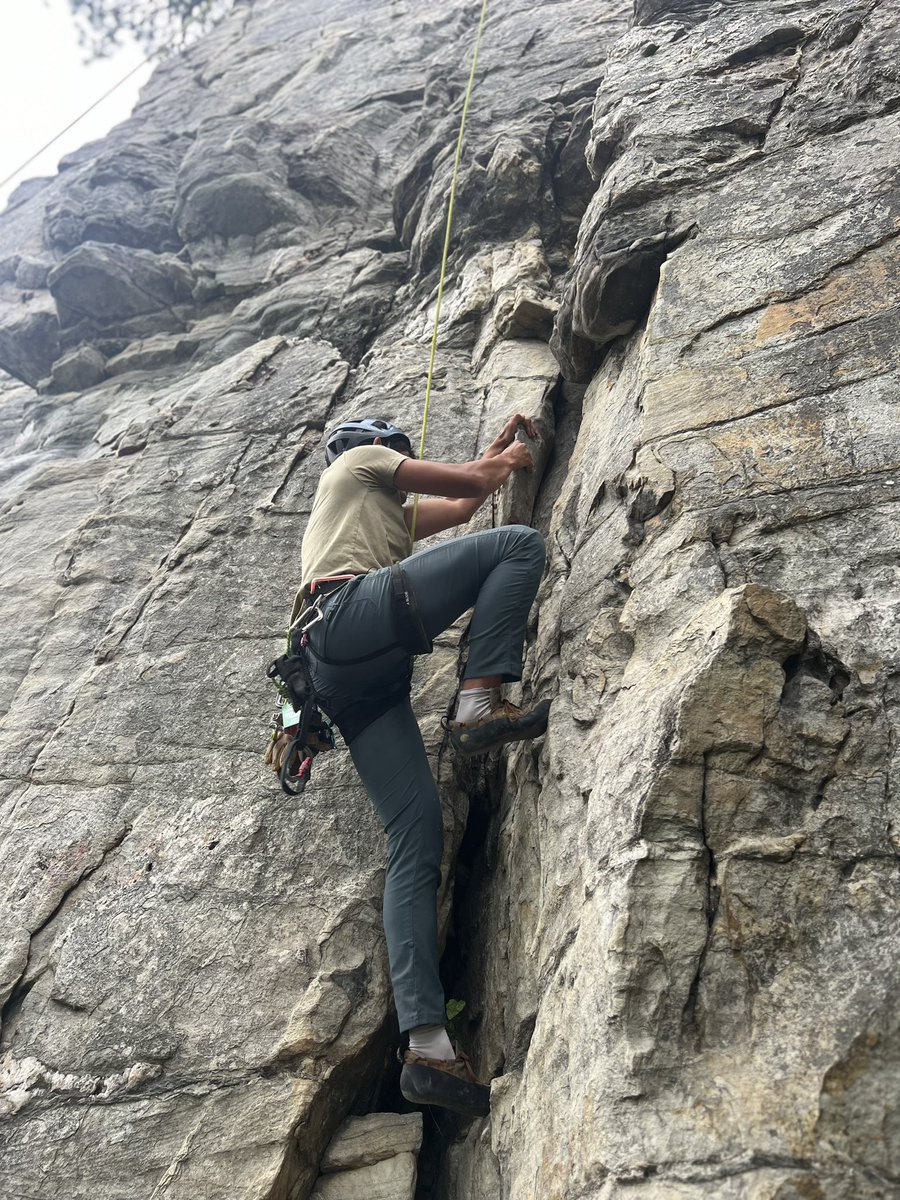 Seth Collings Hawkins tweet media