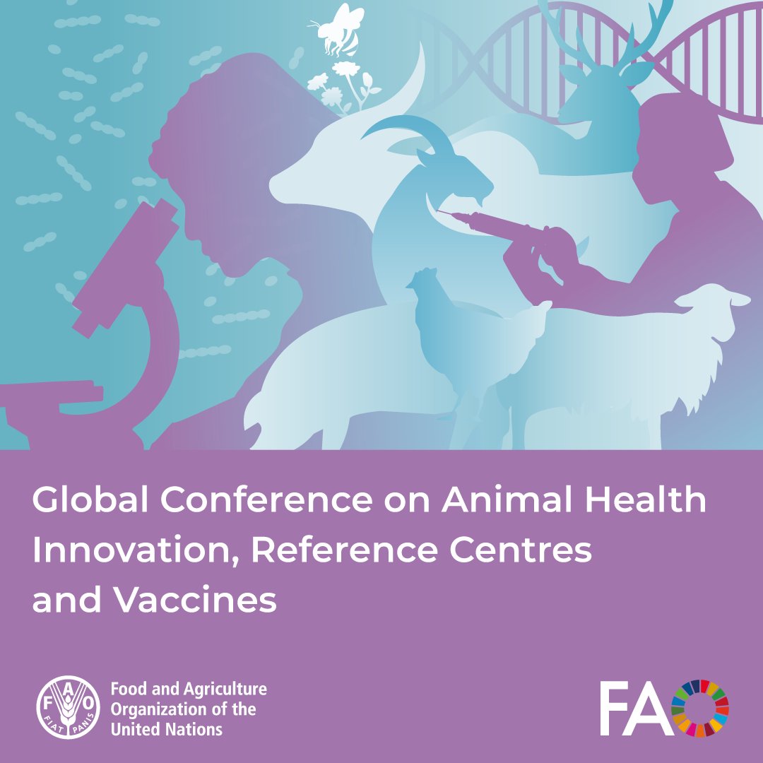 📢 The Global Conference on Animal Health Innovation, Reference Centres and Vaccines starts today! 

Follow the three-day event discussing #AnimalHealth for sustainable livestock and #OneHealth implementation. 

ℹ️ bit.ly/3B7s3Zw 
📺 bit.ly/3TDoW25 

#RCVI2024