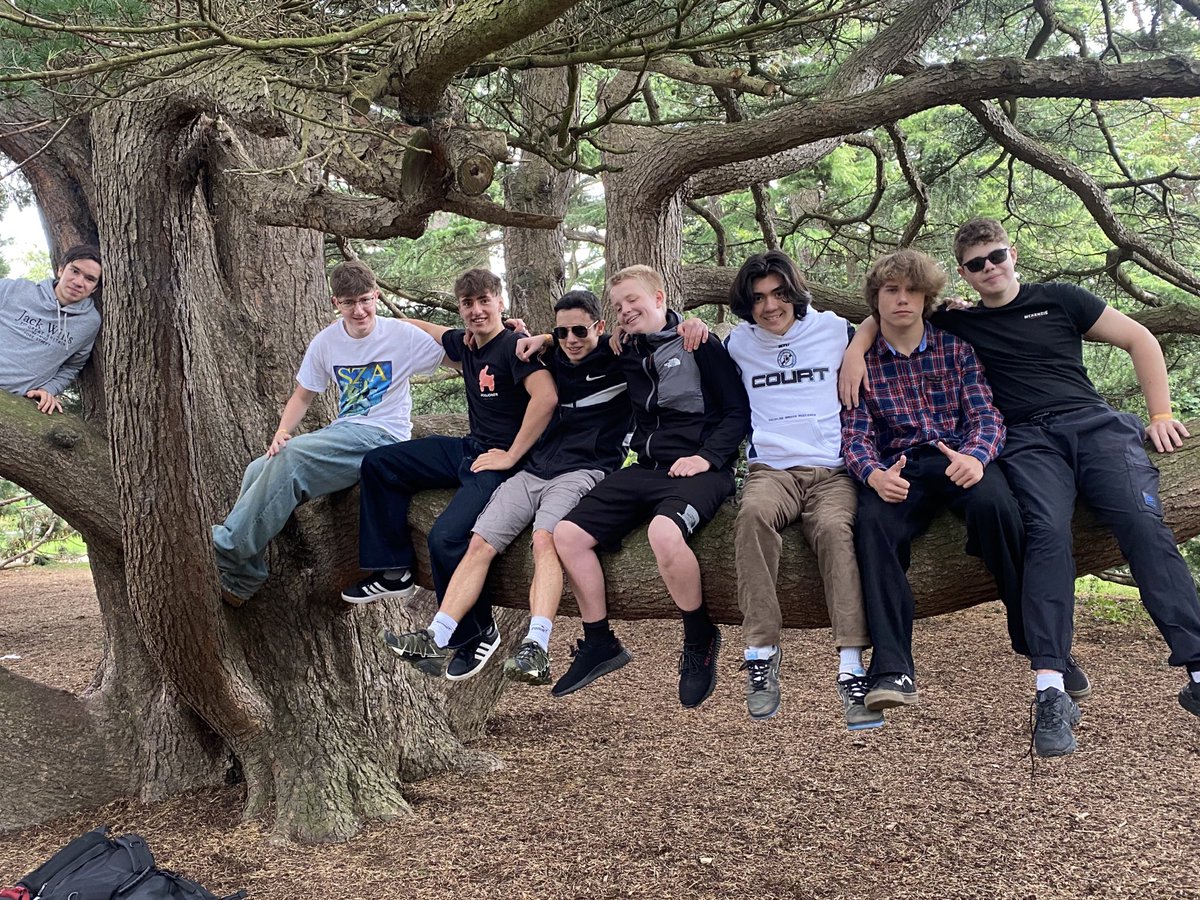 Transition Year Sandymount Park ETSS tweet media