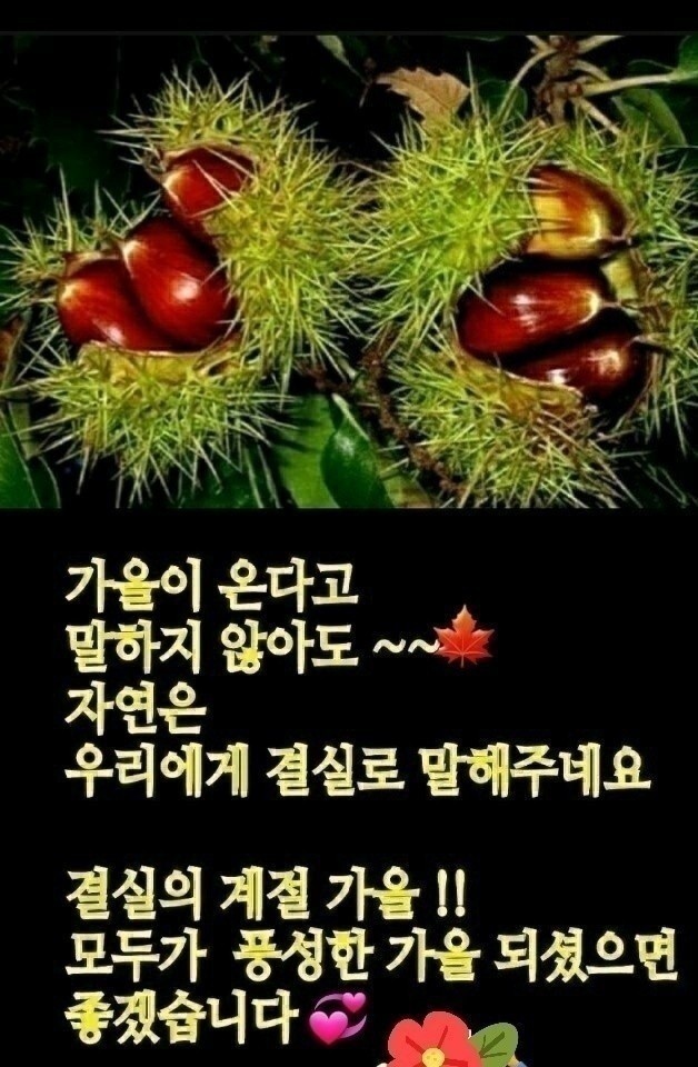 ok650908ok's tweet photo. https://t.co/FYsJ3Z2rD4