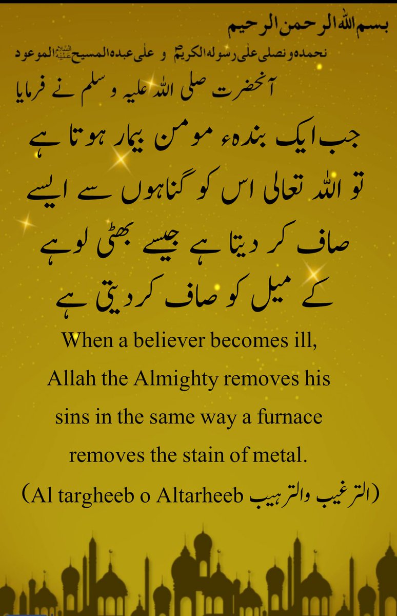 Tariq Majeed tweet media