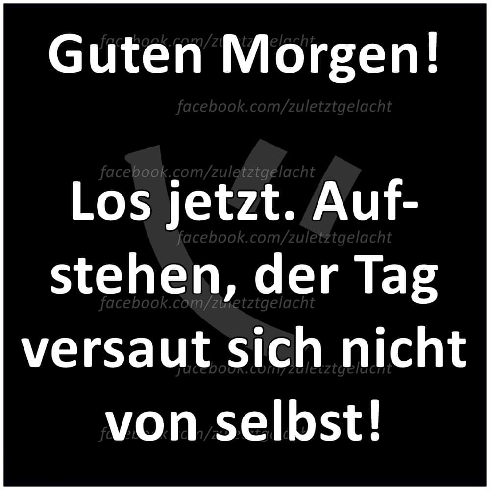 Salome Noire (@salome_noire) on Twitter photo 