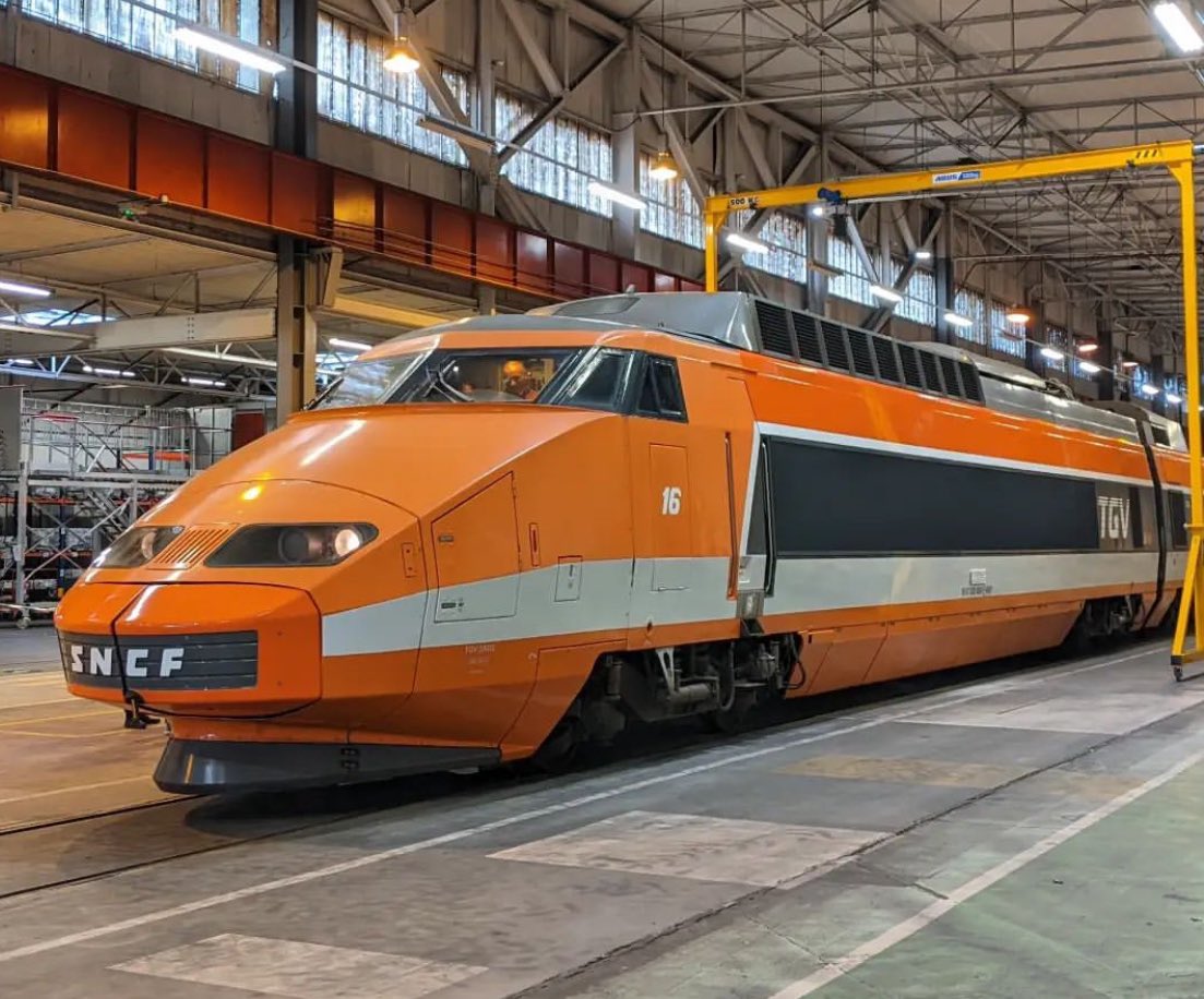 Lucie Arcovio tweet media