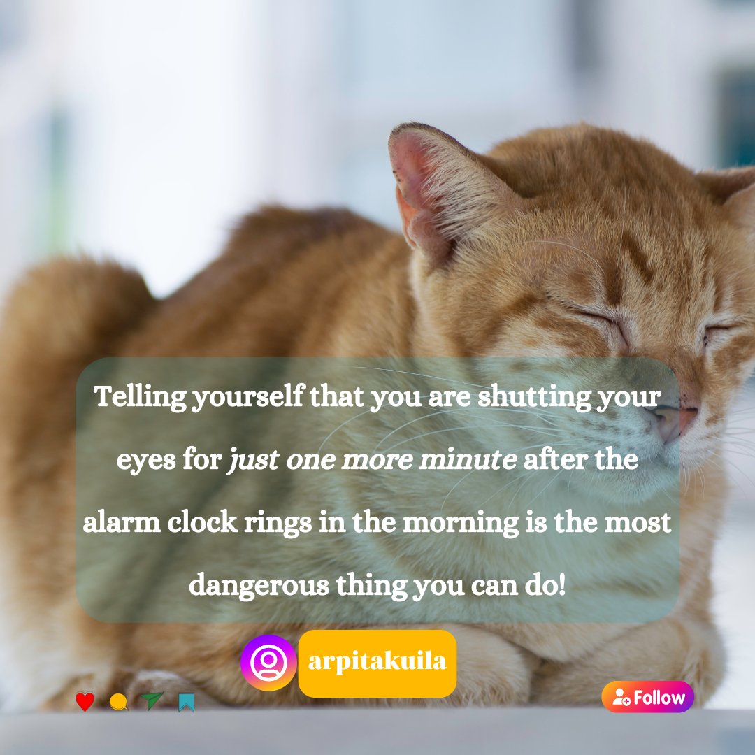 Dangerous things to do, especially on a Monday morning 🤣🤣! 

Anyone else who lives dangerously like this?

#arpitastories #laughoutloud #humor