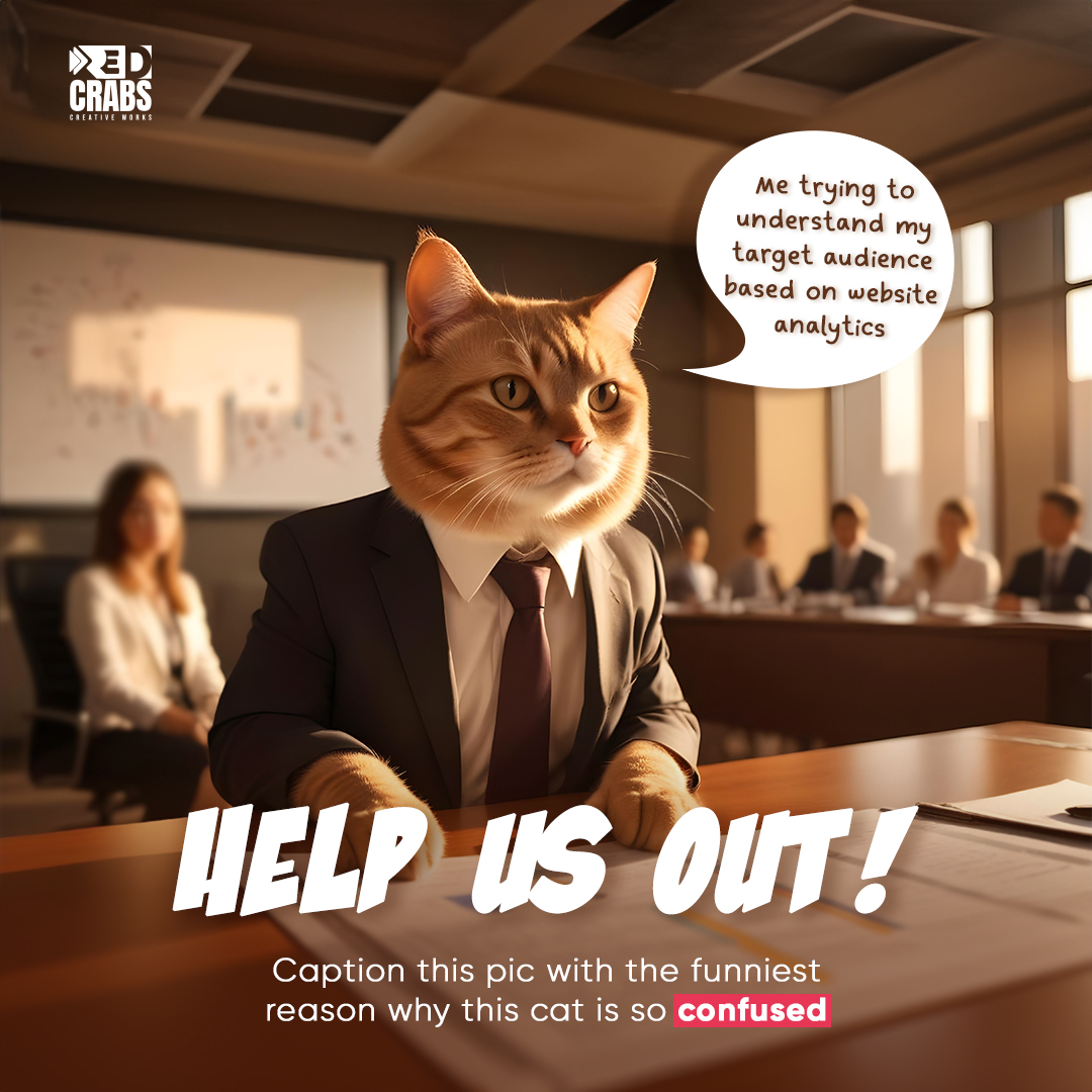 redcrabs143's tweet photo. Me trying to understand my target audience based on website analytics. Help us out!

Caption this pic with the funniest reason why this cat is so confused.
.
.
.
.
#marketing #business #marketingdigital
#digitalmarketing #branding #socialmedia https://t.co/OJqGC6GmeC