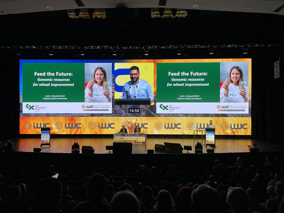 Dr. Curtis Pozniak presenting at the International Wheat Congress on wheat improvement using genomic technologies #IWC2024Perth