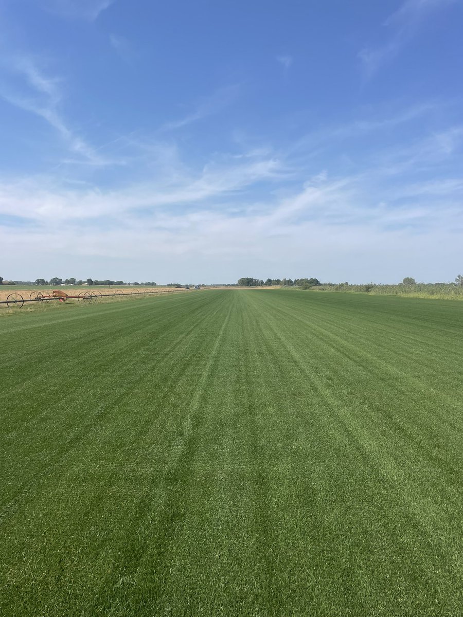 mitchhooten's tweet image. Week #2 Highlights. #newfield #30to15 @TheMotzGroup @fieldsourceohio