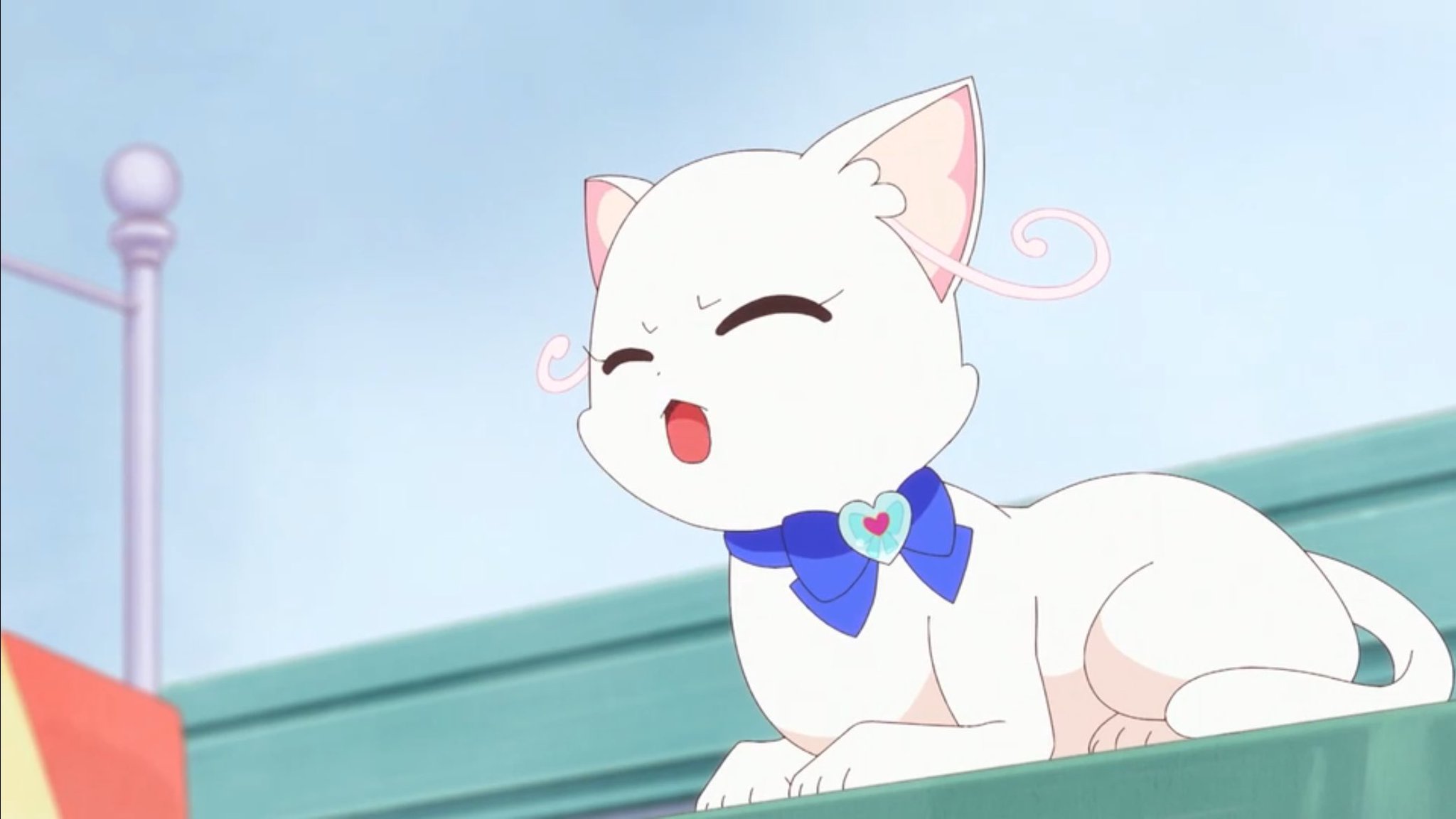 ゆき様専用☆ワンちゃんネコちゃんシリーズ つっぱ