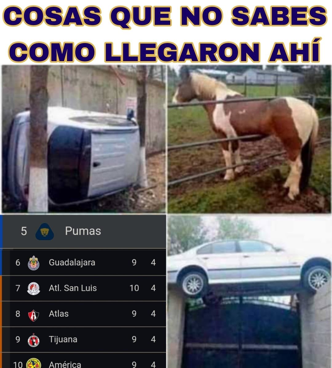 Fan Puma ⍽ (@fanpumaoficial) on Twitter photo 