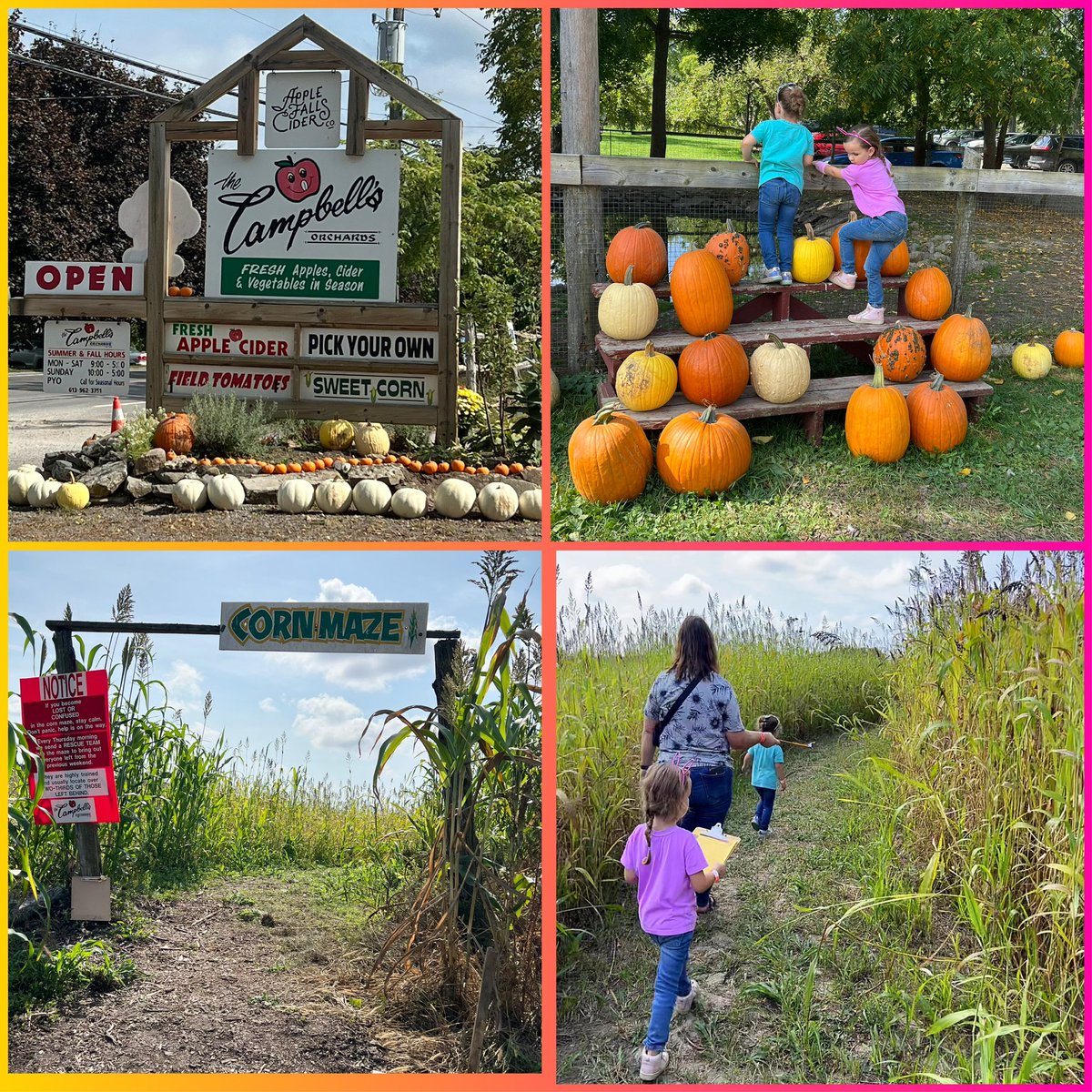 BethGinYGK's tweet image. First day of fall. The Campbell’s Orchards. #wagonride #appleorchards #cornmaze #pumpkins #applecider #fallbucketlist #familyfun