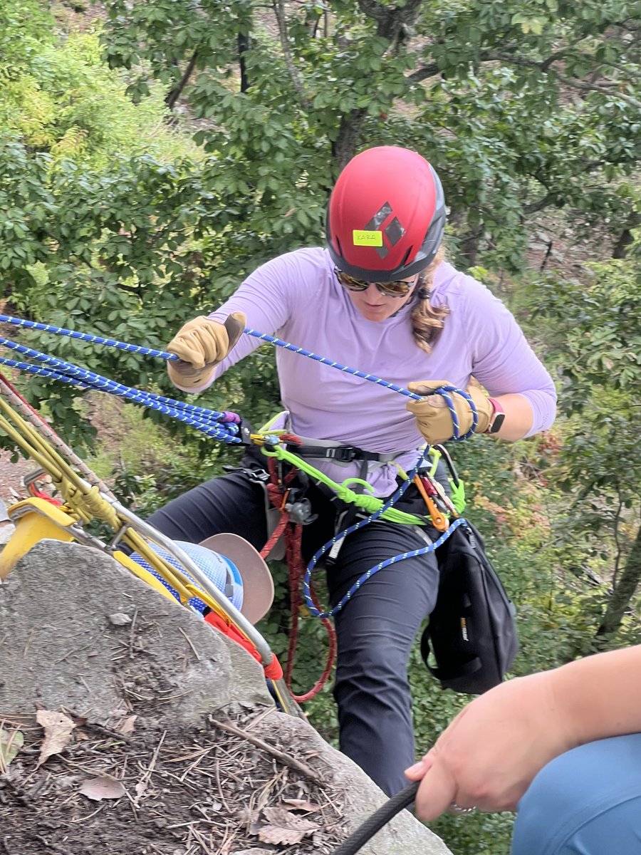 Seth Collings Hawkins tweet media