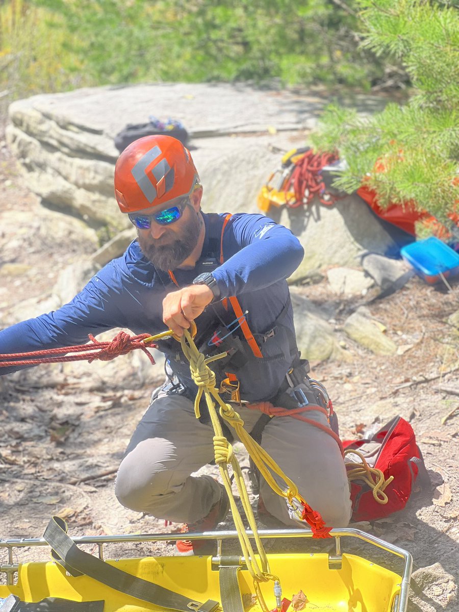 Seth Collings Hawkins tweet media