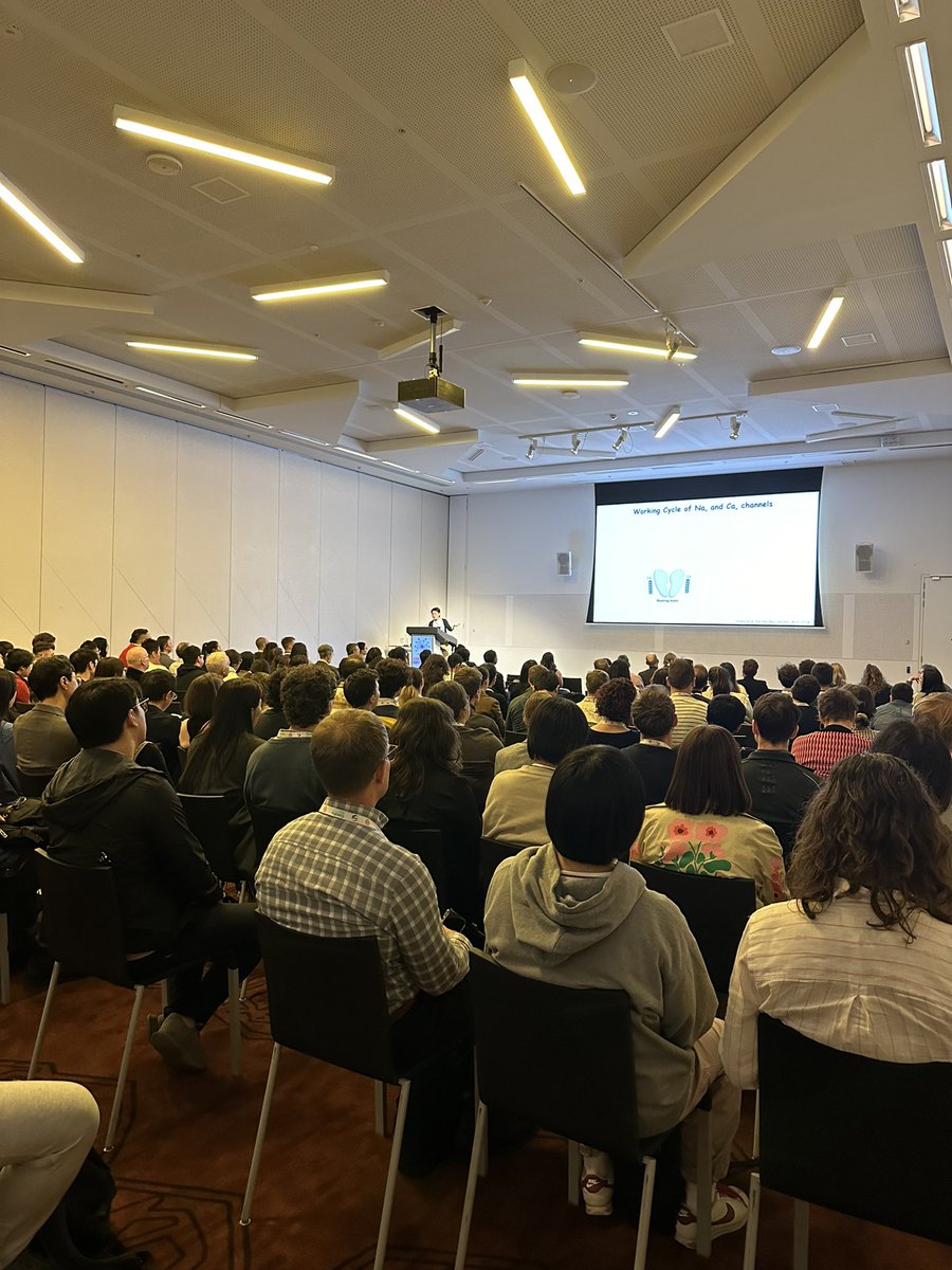 tham_lab's tweet image. Nieng Yan taking a full house of @bmh2024Melb attendees through Nav and Cav channels and their biology in pain toxins and opioids in our StructuralBiology  and Biophysics stream #BMH2024 #CryoEM