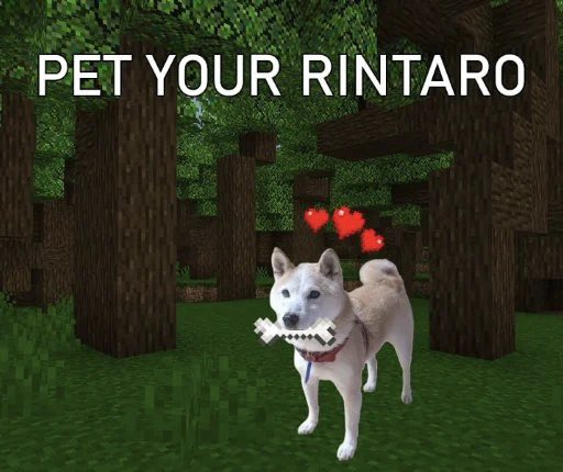 Rintaro tweet media