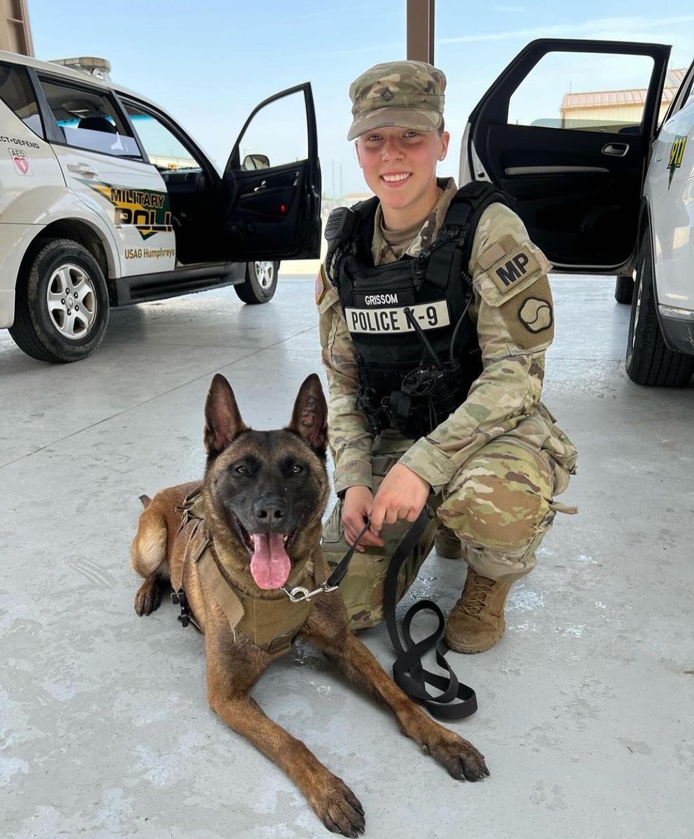 MilitaryWorkingDogs tweet media