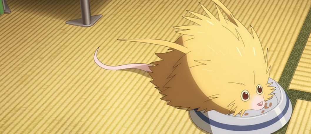 부천국제애니메이션페스티벌 10/25(금)~10/29(화) <달팽이의 회고록> 안시 대상 <내 이름은 케리아> ‘내 이름은 꾸제트’ 감독 신작 <인투 더 원더우즈>...