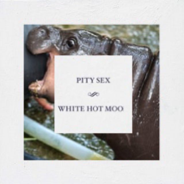 Pity Sex (@pity_sex) on Twitter photo 
