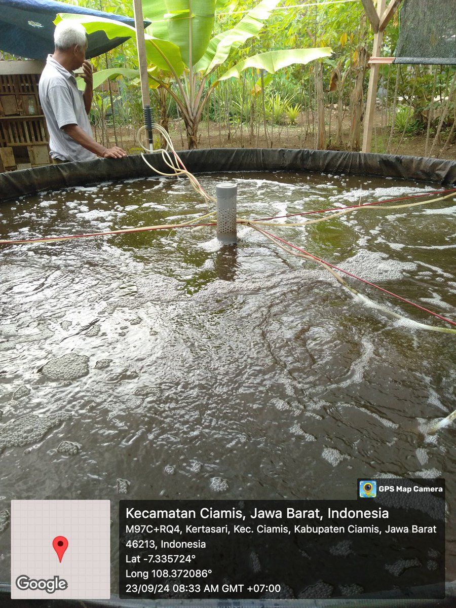 Abihasna tweet media