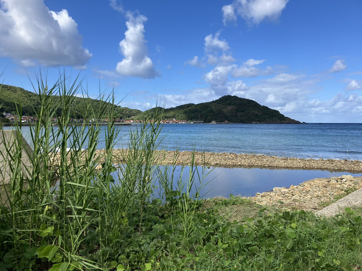 夜勤明けでイチジク収穫、数が取れんじゃ。
５パックでも出荷するかのう。

能登半島に、災害ボランティアに行きたいが、食うために働かなきゃならんじゃ。
災害で苦しむ人が一人でも少なくなるよう祈る位しか出来んじゃ。

日本海が荒れて、川が川口で堰き止められたじゃ。
日本海恐るべしじゃ。