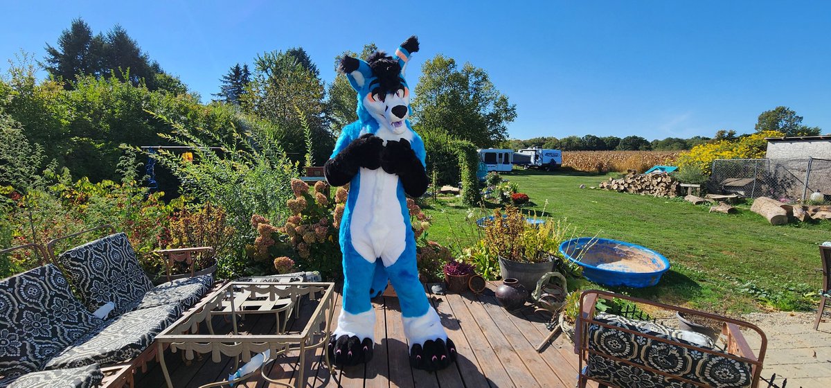 Spooky Fox🔜AC2025 tweet media