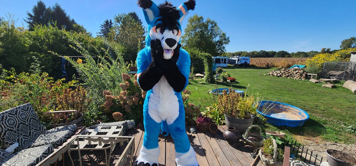 Spooky Fox🔜AC2025 tweet media