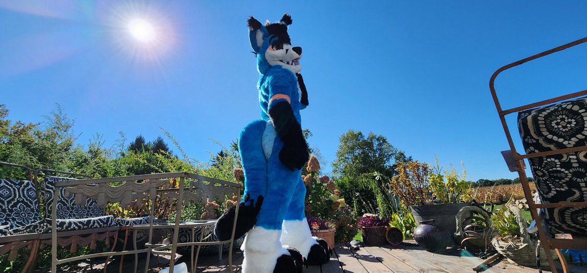 Spooky Fox🔜AC2025 tweet media