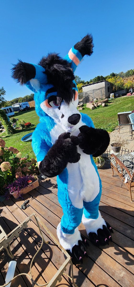 Spooky Fox🔜AC2025 tweet media