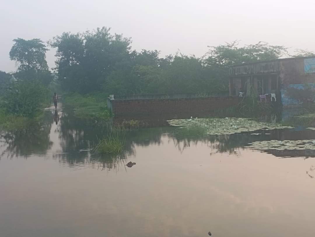 BipinVirat's tweet photo. उत्तरप्रदेश  के एटा जिला मे ब्लाक निधोली कला
मे नदी और नहर कटने से हजारों बीघा खेती बर्बाद 
घरों मे घुसा पानी 
@myogioffice @narendramodi 
@DM_Etah 
@yadavakhilesh @RahulGandhi 
सरकार से निवेदन है संज्ञान लें 
नहीं तो लगभग 50  गांव बाढ़ की चेपेट मे https://t.co/87NtoFLp0q
